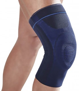 Dr Gibaud Artigib 3D ginocchiera legamenti 0519