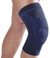 Dr Gibaud Artigib 3D ginocchiera legamenti 0519