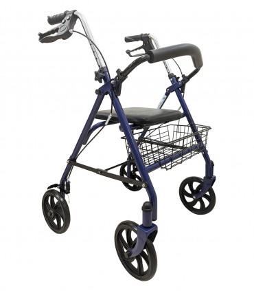Termigea deambulatore rollator RO10