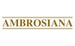▶️ Calzificio Ambrosiana: calze e collant in lana merinos e cotone